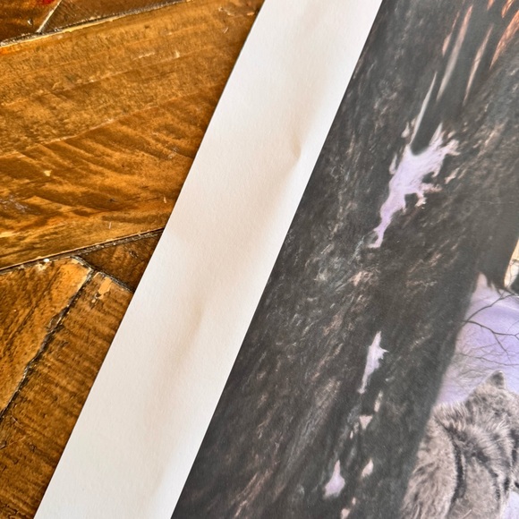 BNSF Railroad Greg Garrett Wolf Artwork “Shadow Company” 2016 - Picture 8 of 11